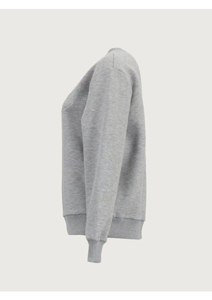 Panece Sweatshırt fiyatları