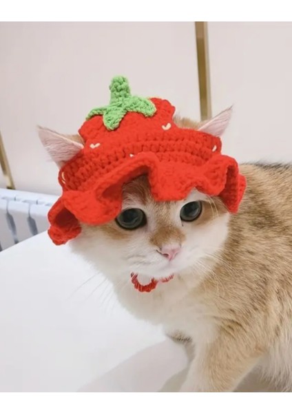 Kedi Şapkası Sevimli Hayvan Şapkası Evcil Hayvan Aksesuarı Kedi Kıyafeti