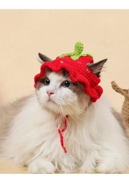 Kedi Şapkası Sevimli Hayvan Şapkası Evcil Hayvan Aksesuarı Kedi Kıyafeti fiyatları