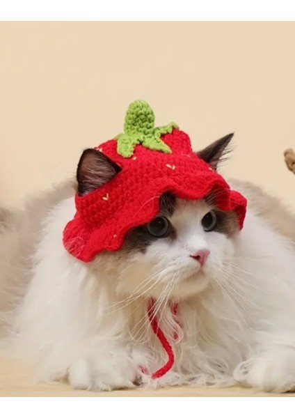Kedi Şapkası Sevimli Hayvan Şapkası Evcil Hayvan Aksesuarı Kedi Kıyafeti modelleri
