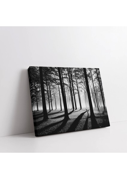 Ormanın Derinlikleri Kanvas Tablo fiyatları