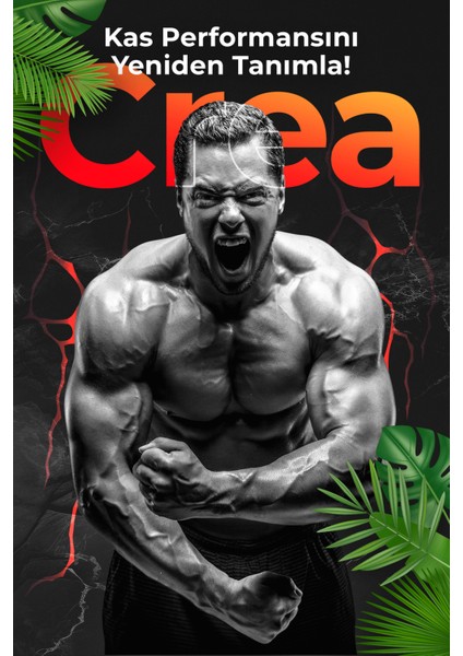 Creatine Creamons (80 Servis) 400 G (Tropikal Meyve Aromalı) fırsatları