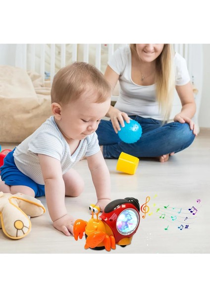 Emeklemeye Yardımcı Işıklı ve Müzikli Yengeç fiyatları