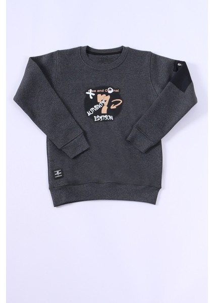 Erkek Çocuk 3 Iplik Sweat Sırt Baskılı Ribanalı E19 fiyatları