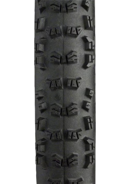 Trail King 29X2.40 Protection Apex Sl Tubeless Ready Dış Lastik