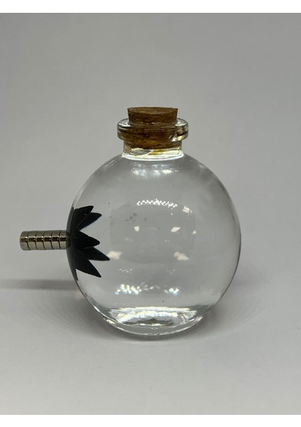 Sihirli Küre Ferrofluid