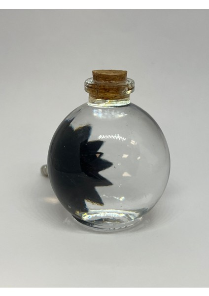 Sihirli Küre Ferrofluid