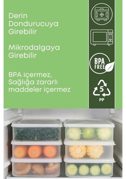 6 Parça 3 Adet 2300ML Saklama Kabı Sızdırmaz, Mikrodalga, Derin Dondurucu, Buzluk, Erzak, Piknik