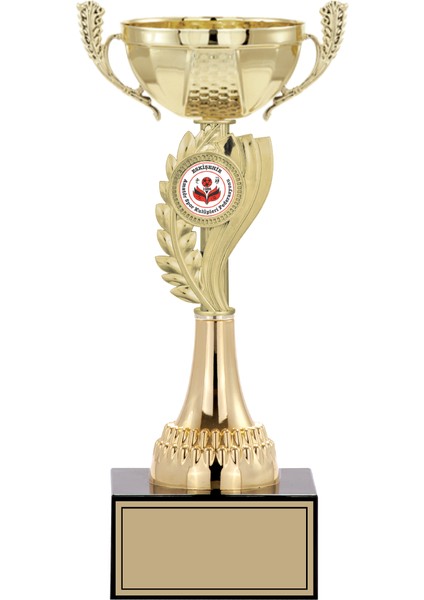 Kişiye Özel Futbol Kupası Ödül Kupası Tören Kupası 28 cm Small 022