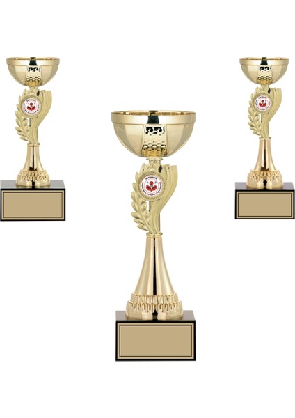 Kişiye Özel Futbol Kupa Takımı-Ödül Kupası-Turnuva Kupası-Kupa Seti 3'lü Takım Small 021
