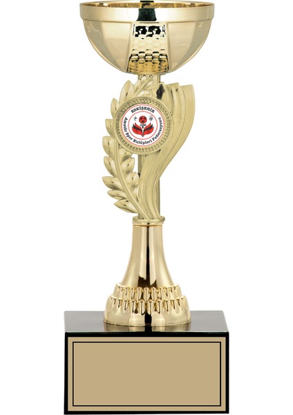 Kişiye Özel Futbol Kupa Takımı-Ödül Kupası-Turnuva Kupası-Kupa Seti 3'lü Takım Small 021 fırsatları