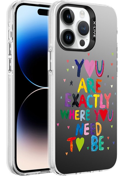 Apple iPhone 14 Pro Max Kılıf Desenli Zore Silver Sert Kapak-You