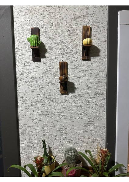 Duvar Tipi Doğal Ahşap Mumluk