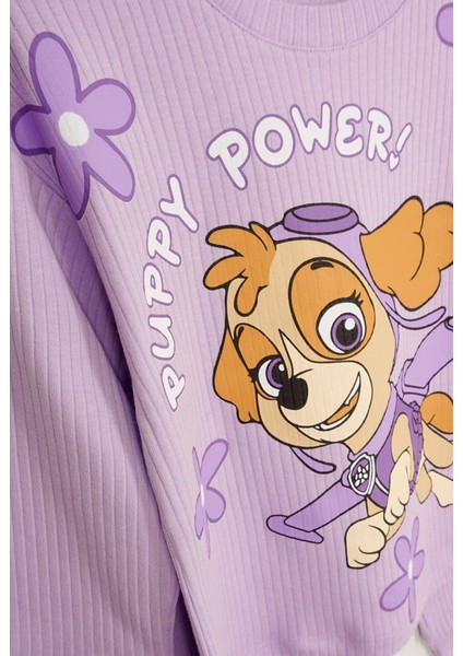 Paw Patrol Kız Çocuk Fitilli Pijama Takımı modelleri
