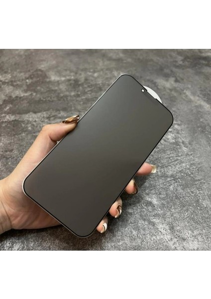 iPhone Xs Max Uyumlu Privacy Mat Hayalet Nano Ekran Koruyucu