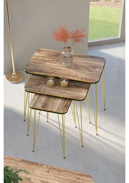 Zigon Sehpa Kr Çift Gold Ceviz Tel 1029