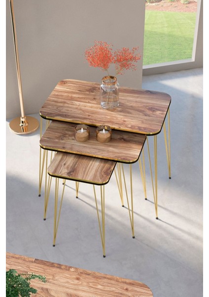 Zigon Sehpa Kare Çift Gold Ceviz Tel 1031