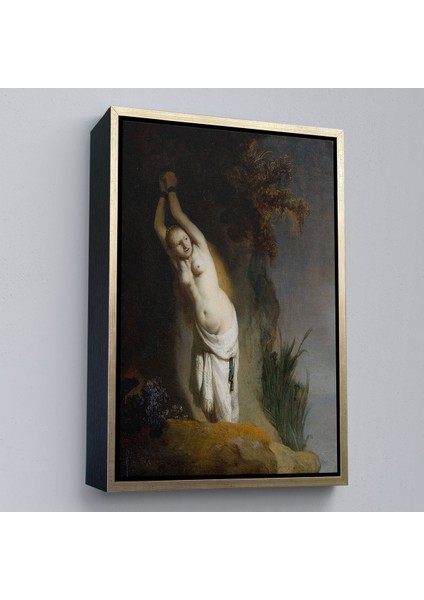 Çerçeveli Rembrandt Van Rijn - Andromeda TABLO-8062 fiyatları