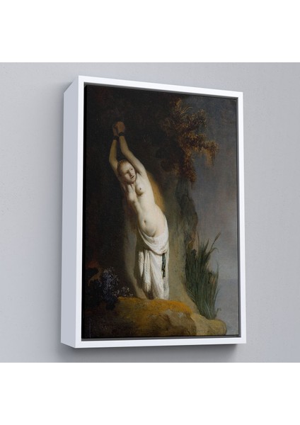 Çerçeveli Rembrandt Van Rijn - Andromeda TABLO-8062 fırsatları