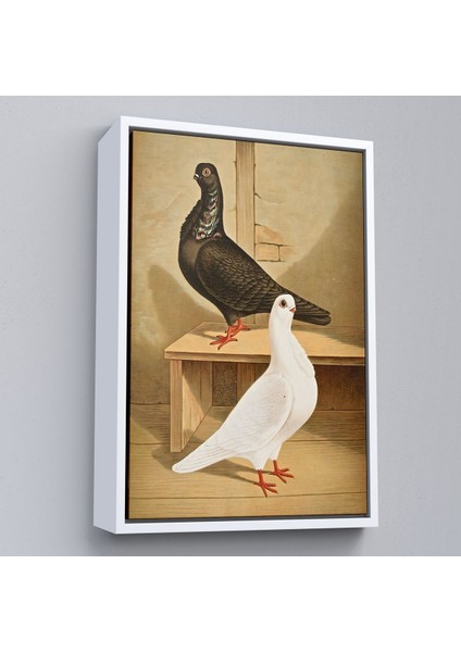 Çerçeveli Gustav Prütz - Sevimli Italyan Güvercinleri TABLO-7320