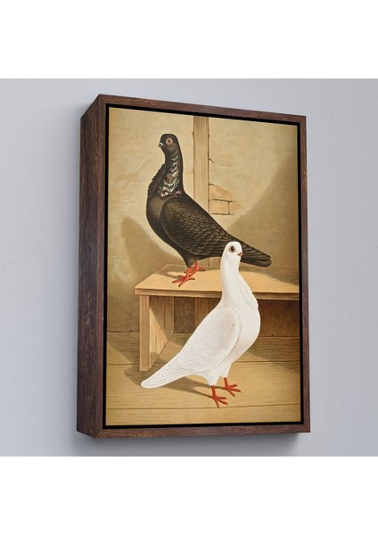Çerçeveli Gustav Prütz - Sevimli Italyan Güvercinleri TABLO-7320 fiyatları