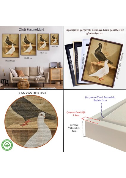 Çerçeveli Gustav Prütz - Sevimli Italyan Güvercinleri TABLO-7320 indirimleri