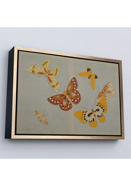Çerçeveli Vintage Japon Kelebeği TABLOSU-7040