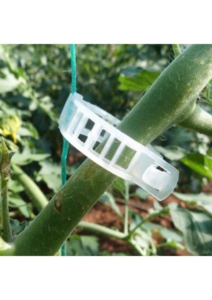 Bitki Sebze Çiçek Tutturma Mandalı Klips (200 Adet) fiyatları