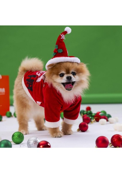 Tekno Trust Noel Slogan Küçük ve Orta Irk Köpek Sweati Köpek Kıyafeti