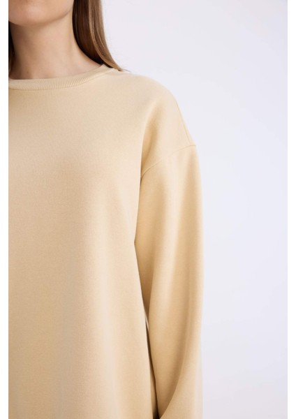 Relax Fit Bisiklet Yaka İçi Yumuşak Tüylü Kalın Sweatshirt Tunik E4978AX24WN fırsatları