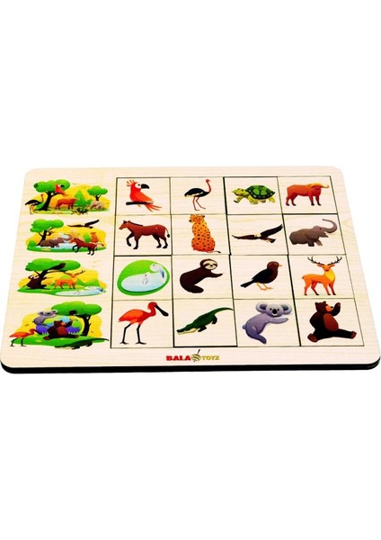 Kodlamaya Giriş İlişkiler Doğa Puzzle