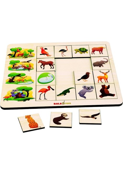 Kodlamaya Giriş İlişkiler Doğa Puzzle