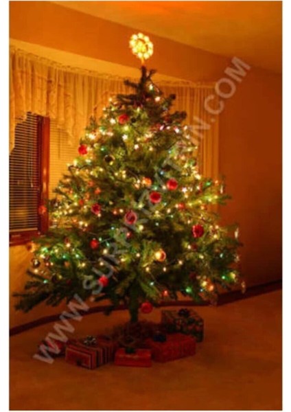 10MT Rgb 100 LED Fişli Noel Parti Yılbaşı Ağaç Dekoratif Aydınlatma Lambası Animasyonlu Süsleme