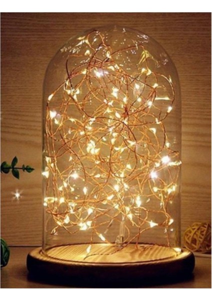 10MT Peri Günışığı 100 LED Pilli Noel Parti Yılbaşı Ağaç Dekor Aydınlatma Lamba Animasyonlu Süsleme