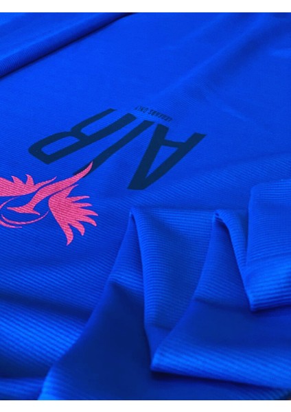 Air Baskılı Kapüşonlu Swaetshirt (Mavi) indirimleri