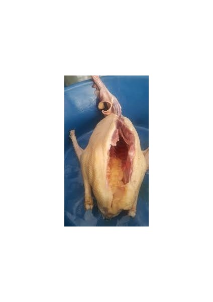 Köy Kazı modelleri