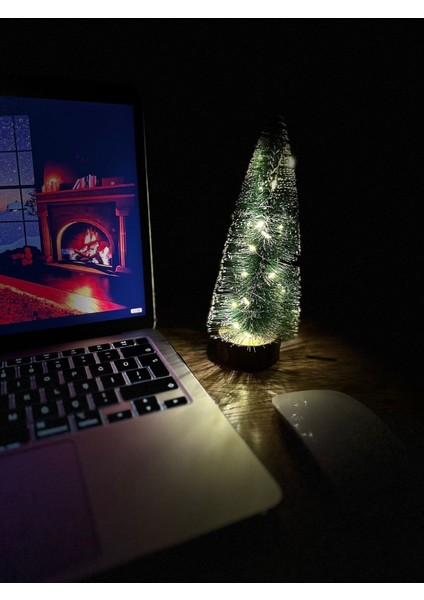 Yılbaşı Çam Ağacı Masa Süsü Yeşil 20 cm + 2 M LED 3 Farklı Modüllü LED