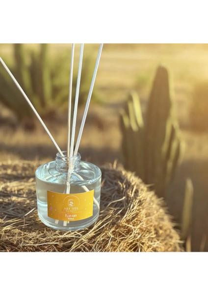Kavun Aromalı Oda Kokusu 100ML
