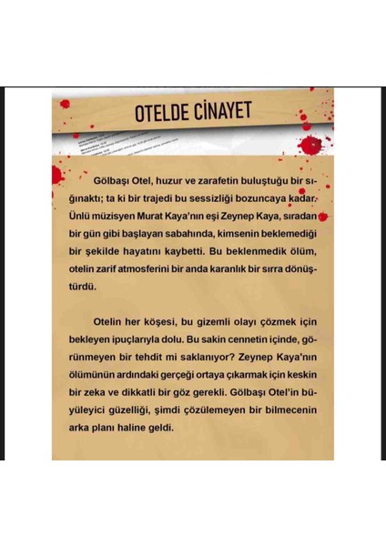 Dedektiflik Cinayet Çözme Oyunu, Otelde Cinayet, Akıl Oyunları