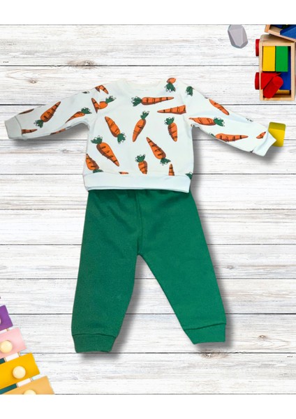 Havuç Baskılı Aylık Erkek Bebek Takım fiyatları