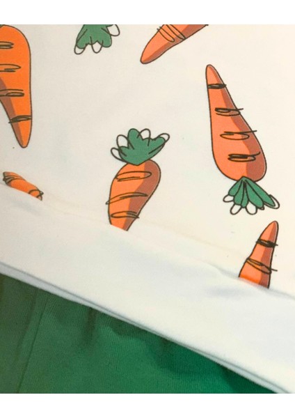 Havuç Baskılı Aylık Erkek Bebek Takım indirimleri