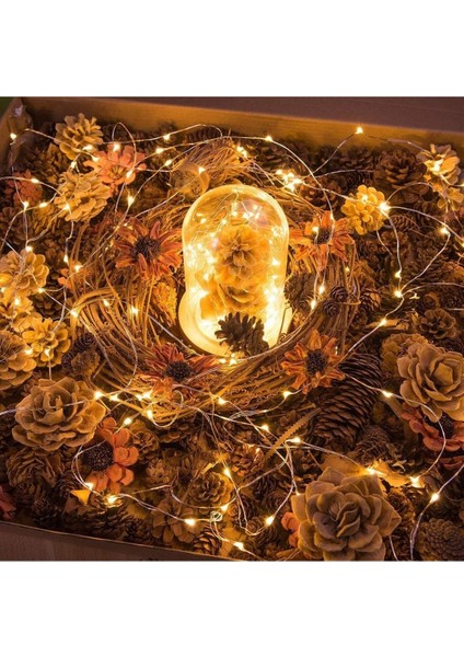 5 Metre Günışığı Yılbaşı Ağacı Işığı Yeni Yıl Peri LED Işık Sarı Işıklı Dekoratif Pilli Ledli Lamba fırsatları