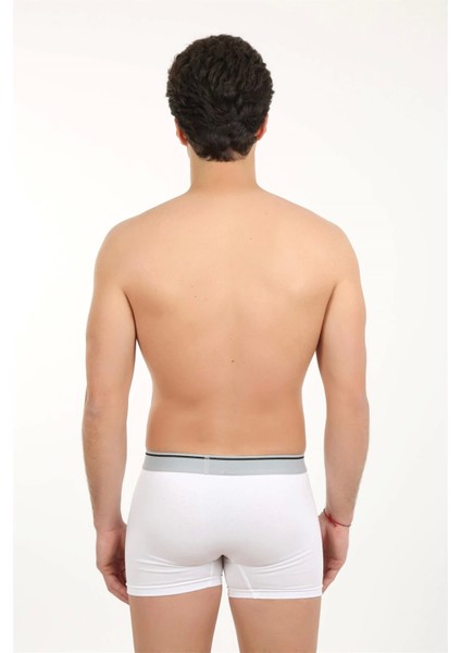 Erkek Likralı Boxer 40056 fiyatları