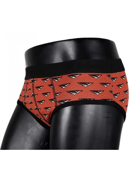 Erkek Likralı Slip 40031