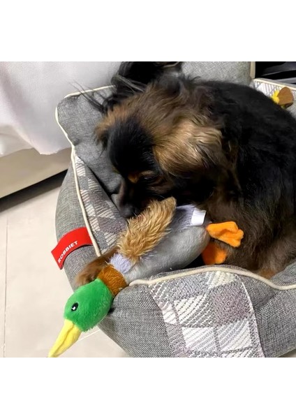 Sesli Yumuşak Dokulu Köpek Oyuncağı fırsatları