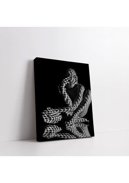 Sarmal Formlar Kanvas Tablo fiyatları