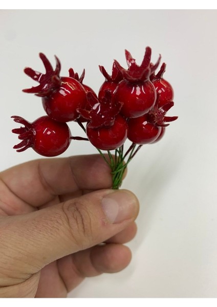 Nar Kokina Yapay Çicek 10 Adet modelleri