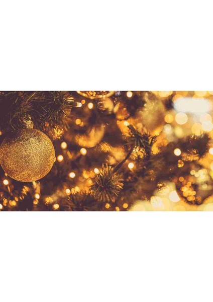 Yılbaşı Ağacı Günışığı 100 Ampullü 5 Fonksiyonlu Pirinç Işık 4.50 Metre fiyatları