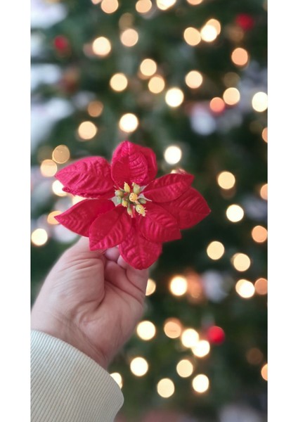 Yılbaşı Dekoru Atatürk Çiçeği 11 cm