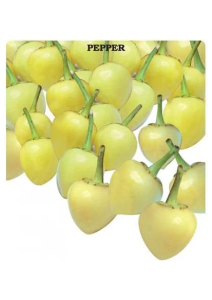 Süs Biberiye Tohumu 5 gr Pınaper Tohumculuk